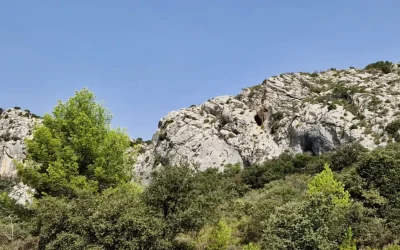 Petite sortie à Eyguières